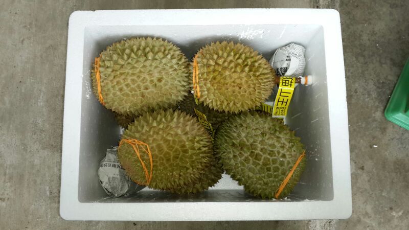 Fresh Durian 1