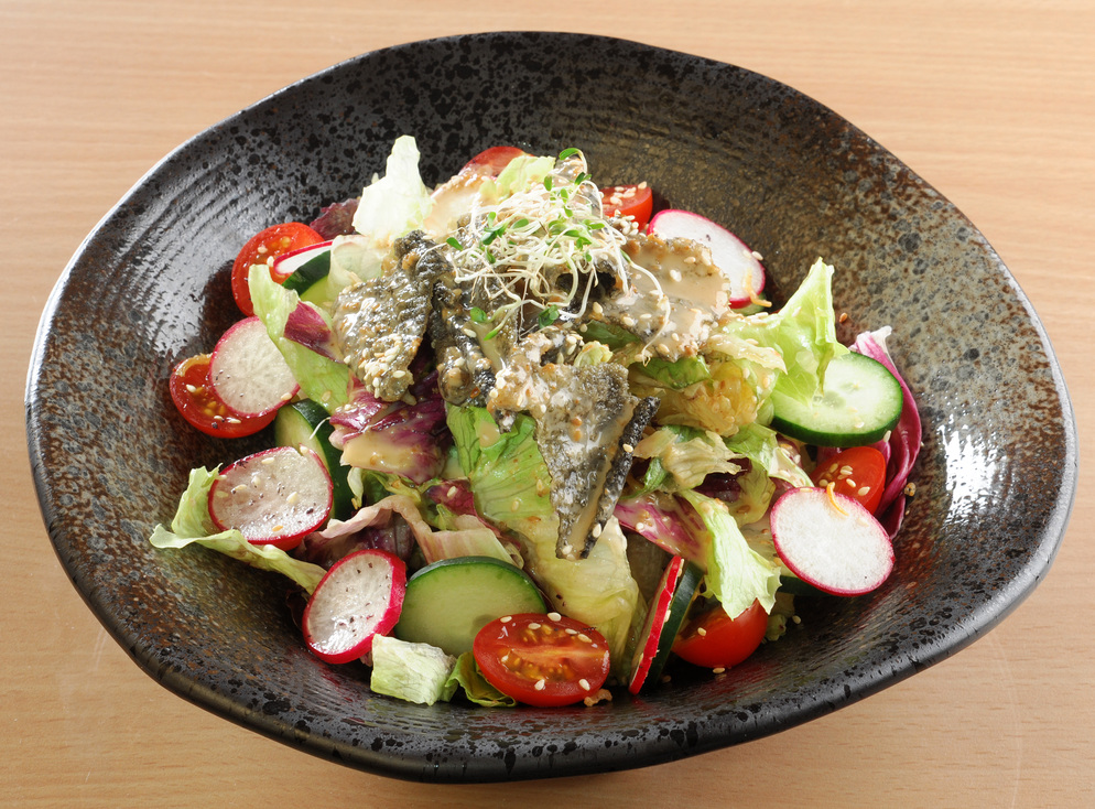 salmon skin salad
