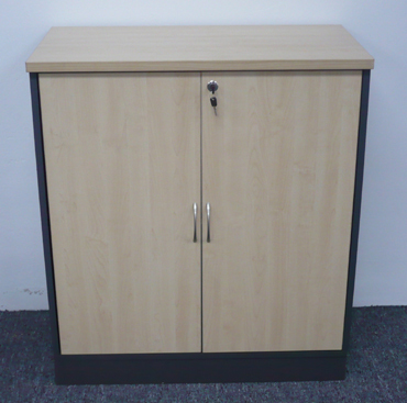 swing door cabinet