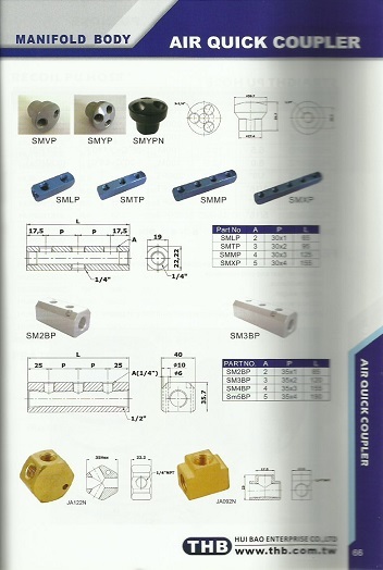 Manifold Body