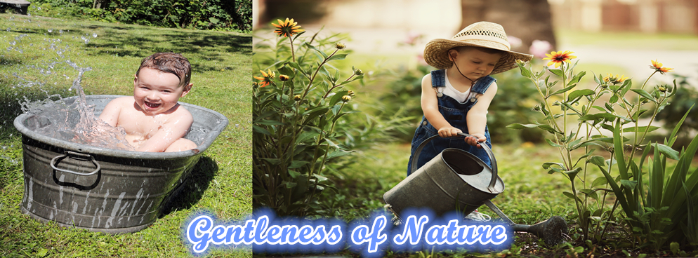 Gentleness of Nature