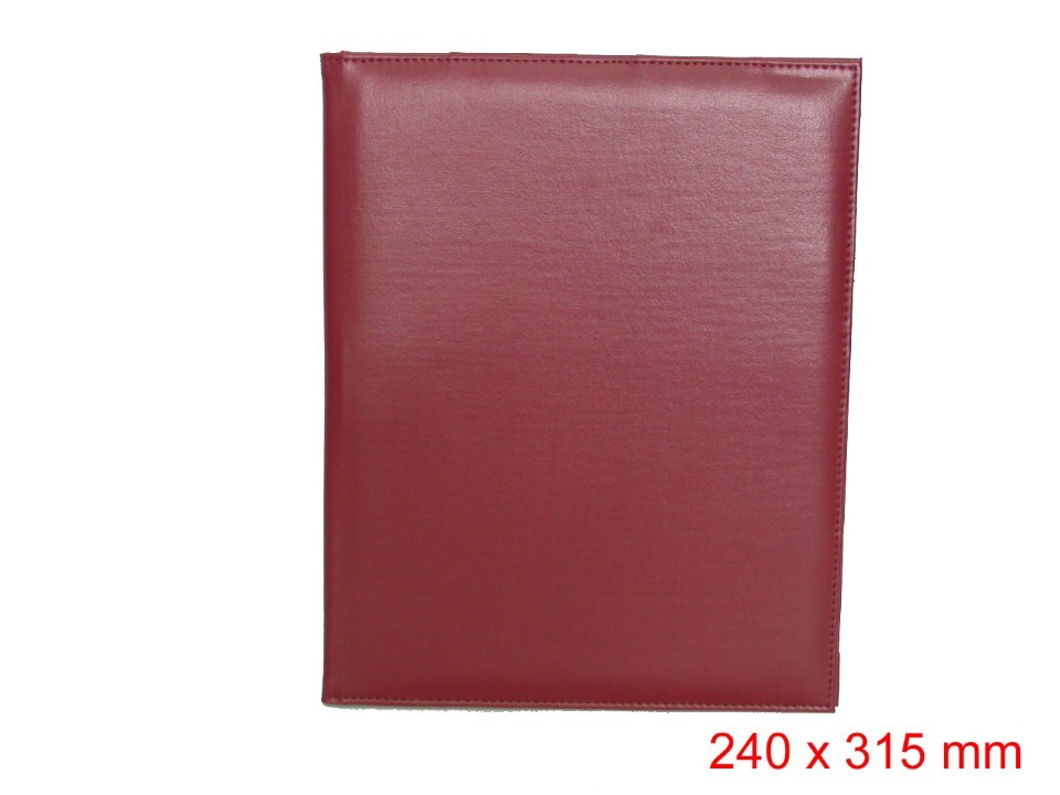 Diary Cover   File Folder (73)