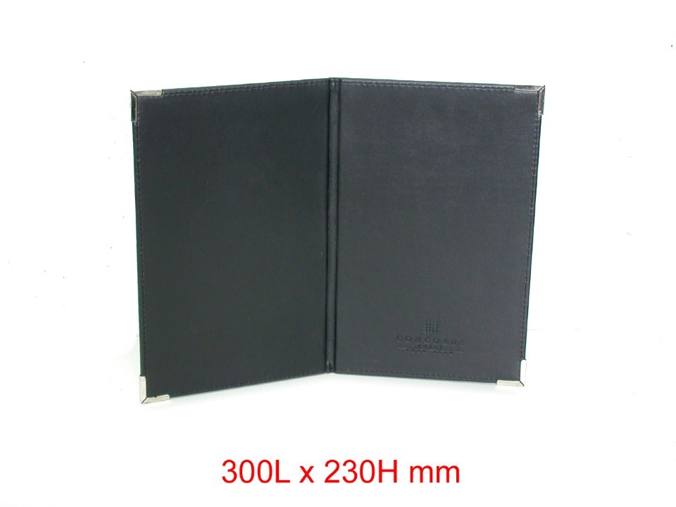 Diary Cover   File Folder (93)