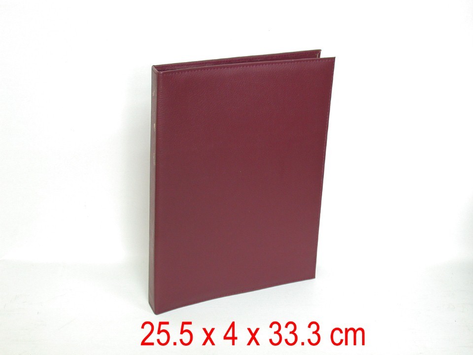 Diary Cover   File Folder (96)