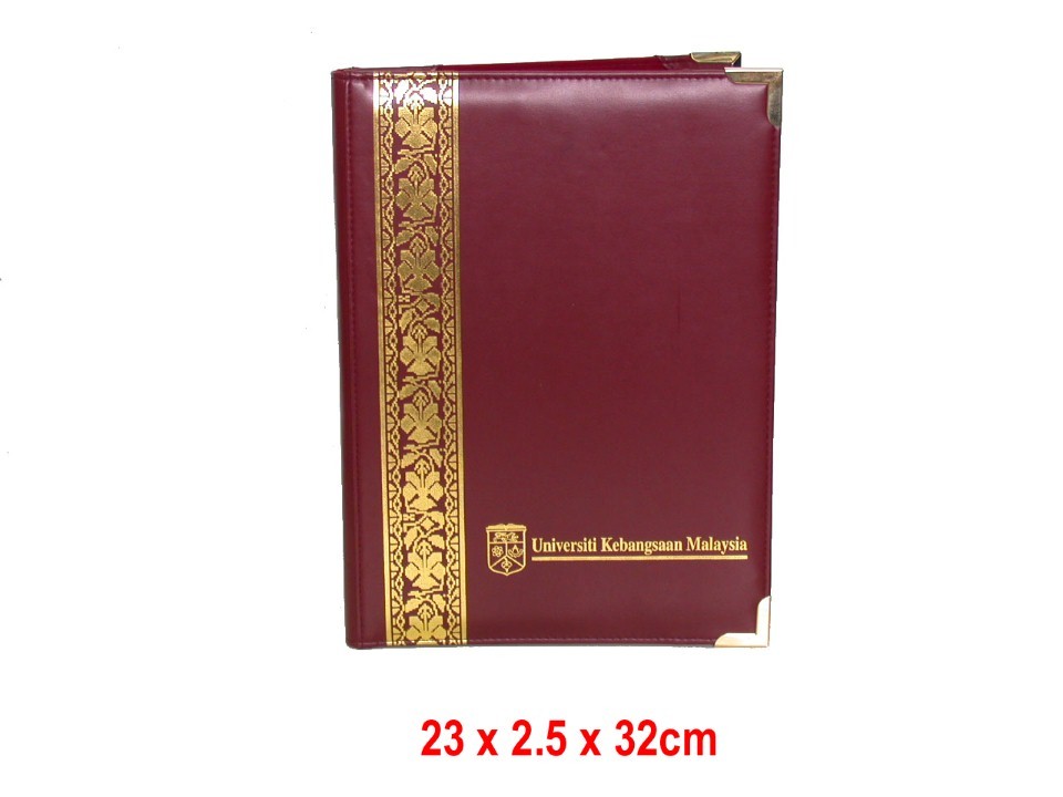 Diary Cover   File Folder (100)