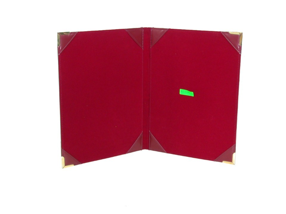 Diary Cover   File Folder (101)