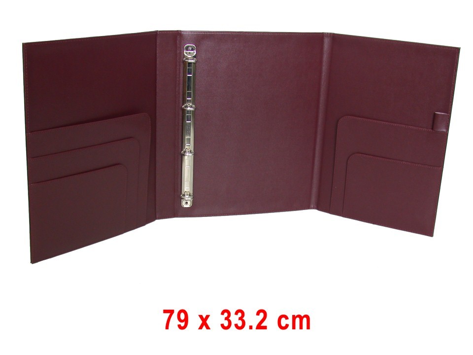 Diary Cover   File Folder (132)