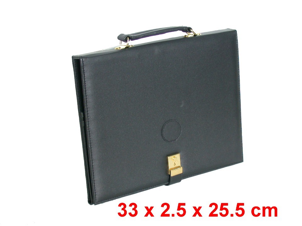 Diary Cover   File Folder (133)