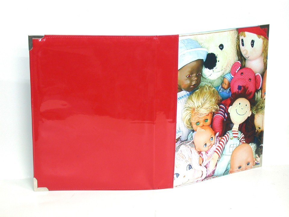 Diary Cover   File Folder (160)