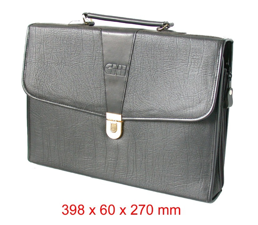 Diary Cover   File Folder (181)