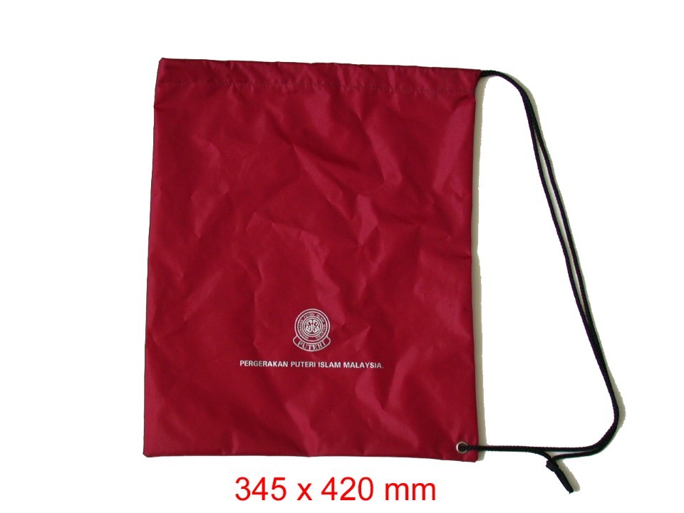 Sling Bag (1)