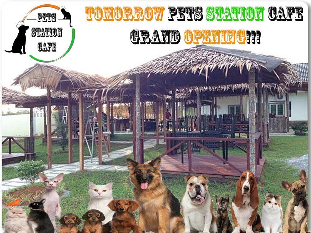 Pets Station Cafe Grand Opening ^^