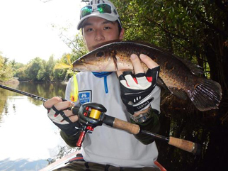 Ocellated Snakehead caught with DUO popper