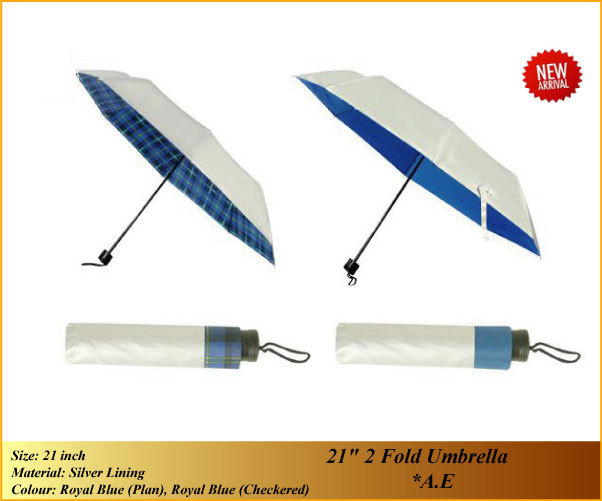 21 '' 2 Fold Umbrella