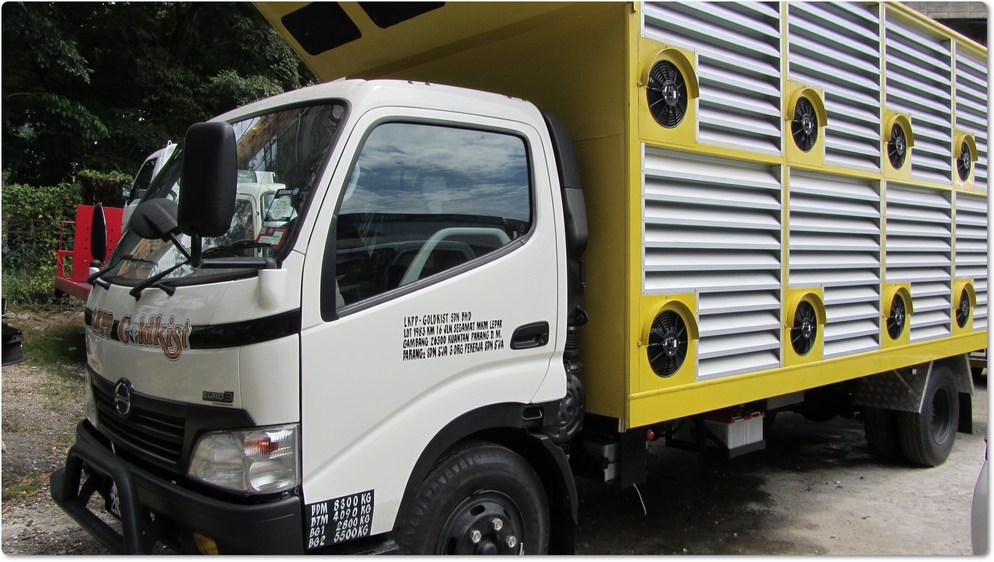 HINO XZU423R 8,300KG 4x2 LUTON POULTRY VAN (LKPP-GOLDKIST)