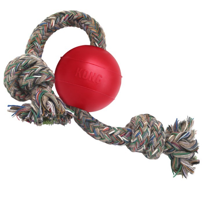 INTERACTIVE RUBBER TOYS BallwithRope3