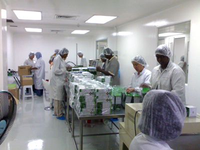 Wellplan Factory Workers