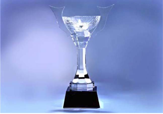 AWC1405 Crystal Award