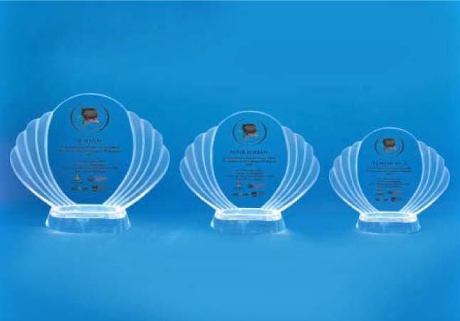 AWC1418 Crystal Award