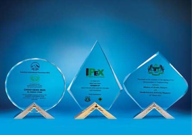 AWC1425 Crystal Award