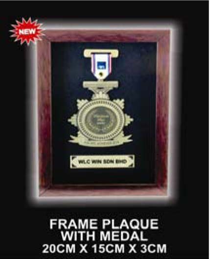 AWI1403 Frame Plaque with Medal