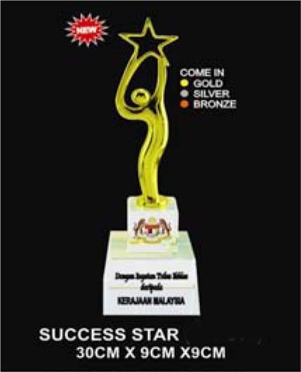 AWI1401 Success Star Award