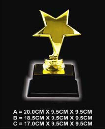 AWI1408 Golden Star Award