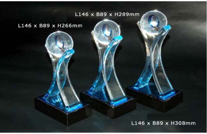 AWU1406 Crystal Award