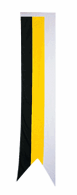 2x8 Perak