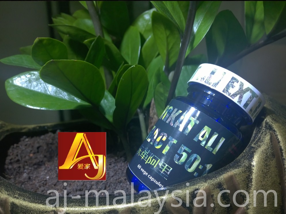 tongkat ali capsule (2)