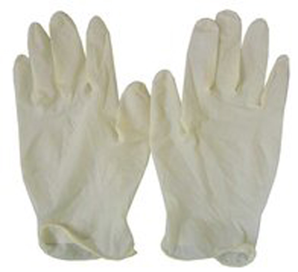 Latex Gloves   Powdered   Powder Free