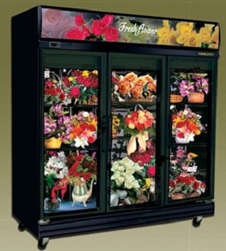 3 Doors Flower Showcase