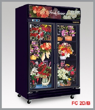 2 Doors Flower Showcase