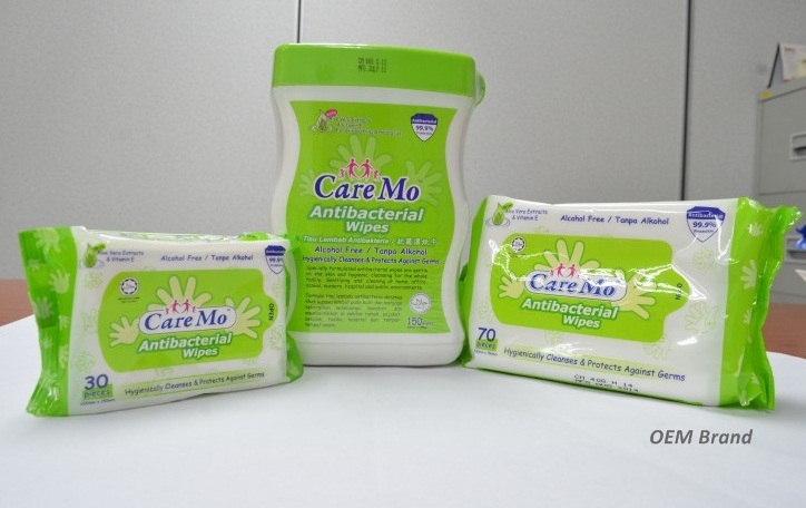 Antibacterial Wipes (3)