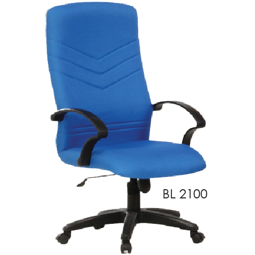 BL 2100 resize