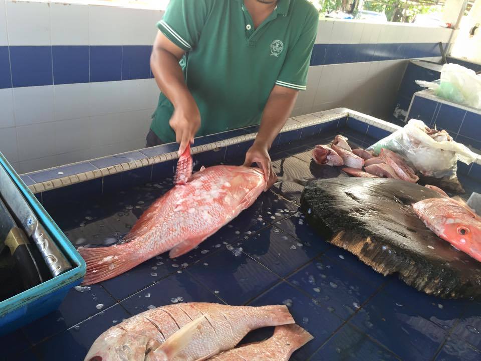 Fish Selection