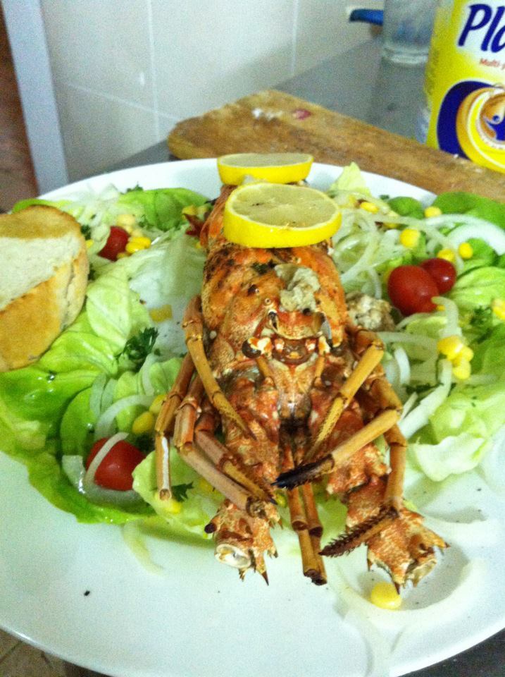 Canadian Live Lobster