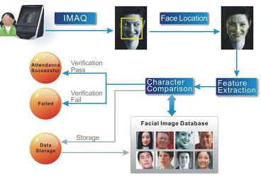 FACE DETECTOR WORKING PRINCIPLE IMAGE