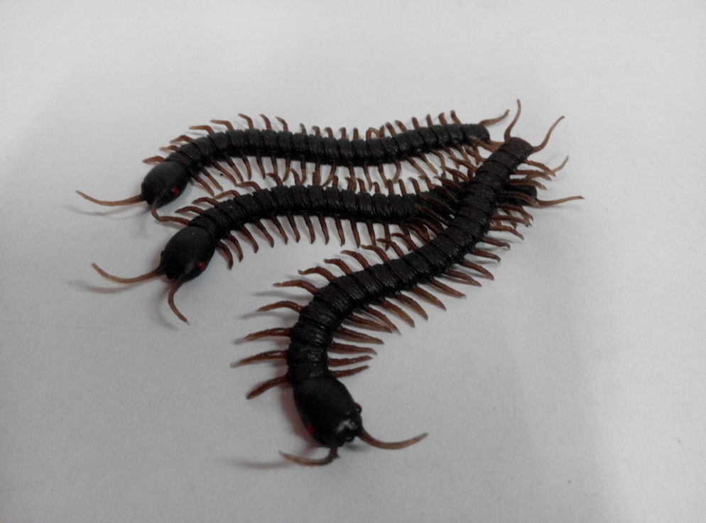 Centepede 315