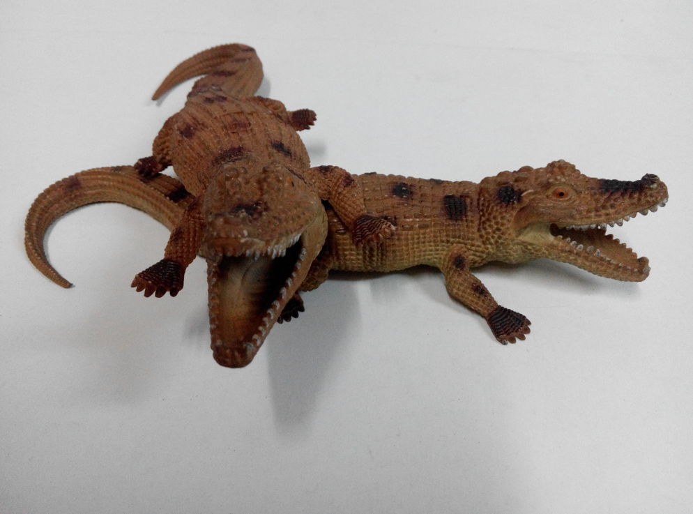 Crocodile 837/30
