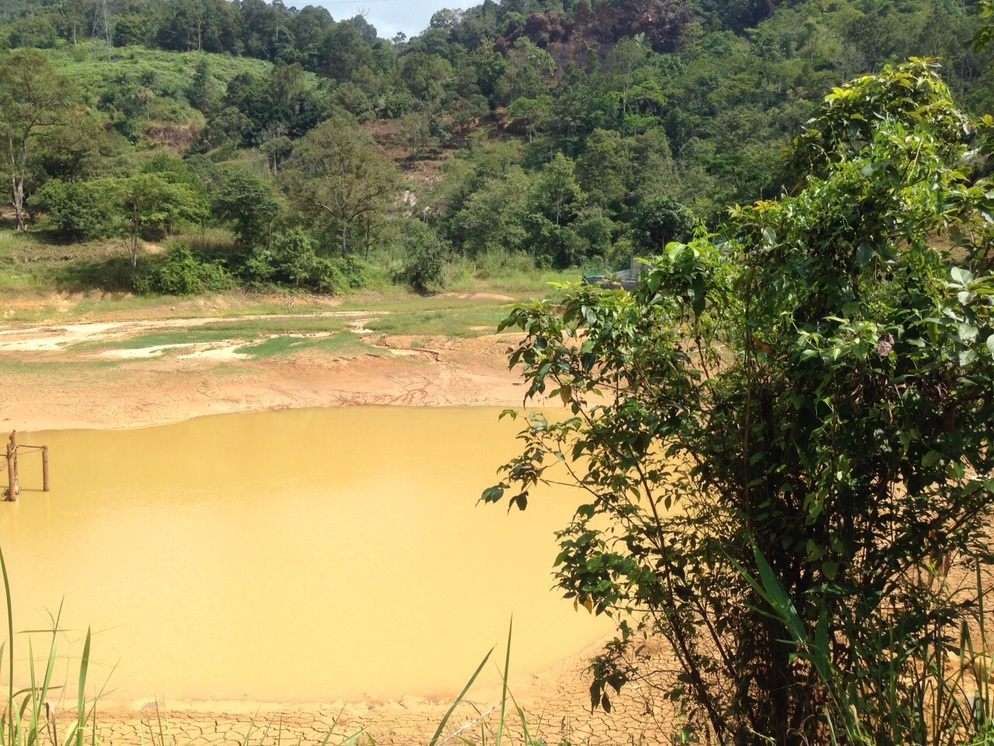 Sungai Lembing Pond for Fishing