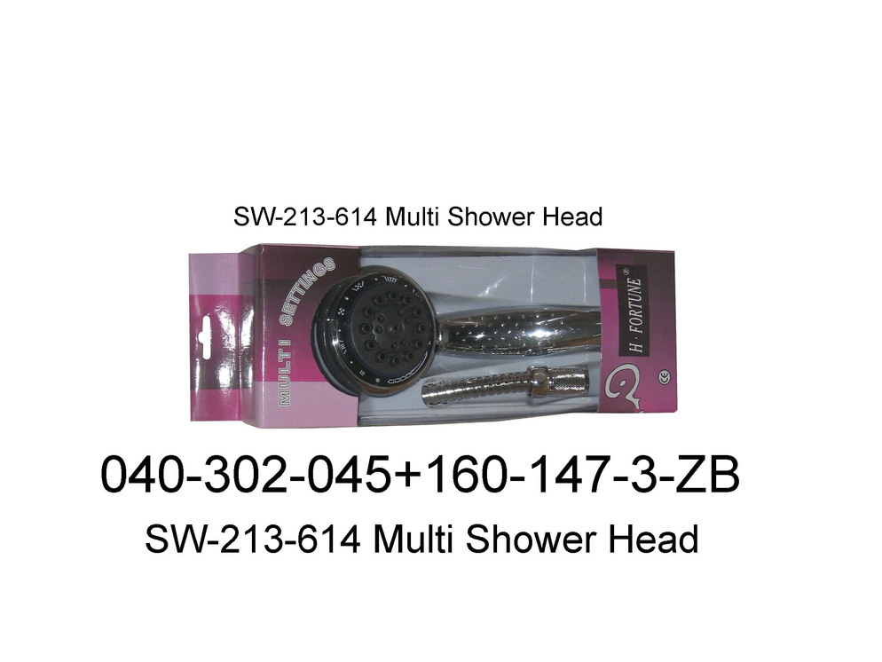 040 302 045 SW 213 614 Multi Shower Hear