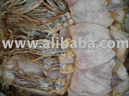 Dried Squid/Cuttlefish