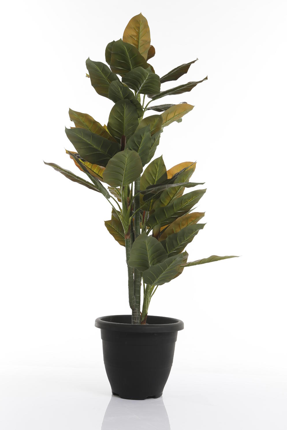 Tree 3