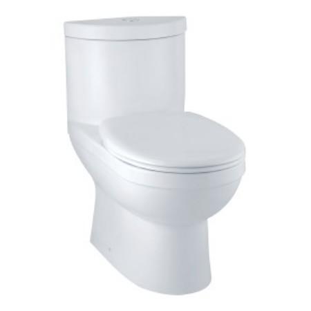 Toilet bowl