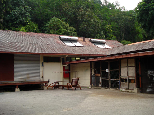 Solar Hot Water System