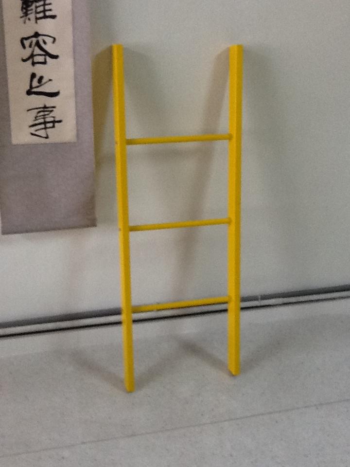 FRP Ladder