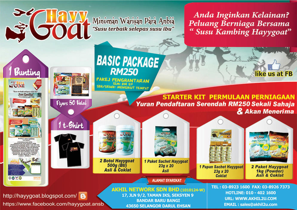 RM250 FLYER PACKAGE