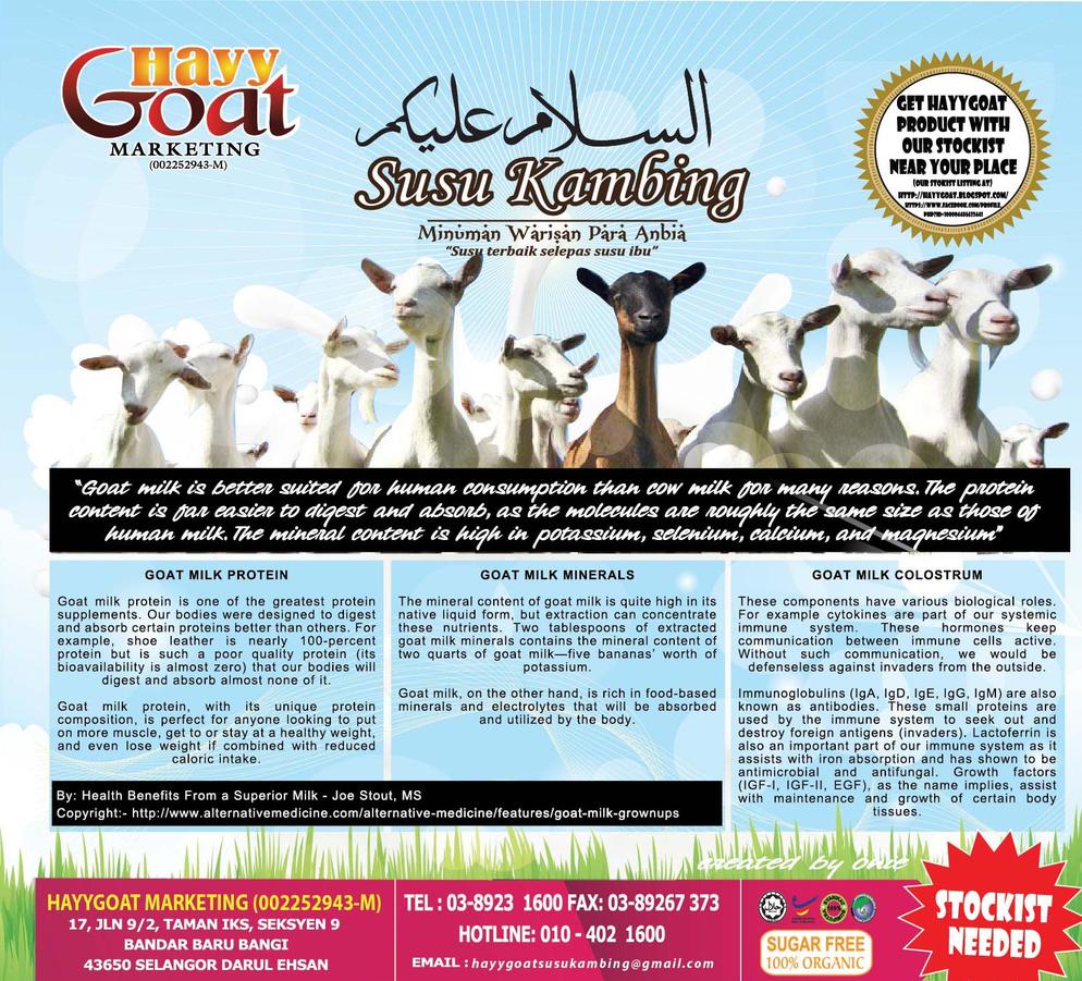 hayygoat 3