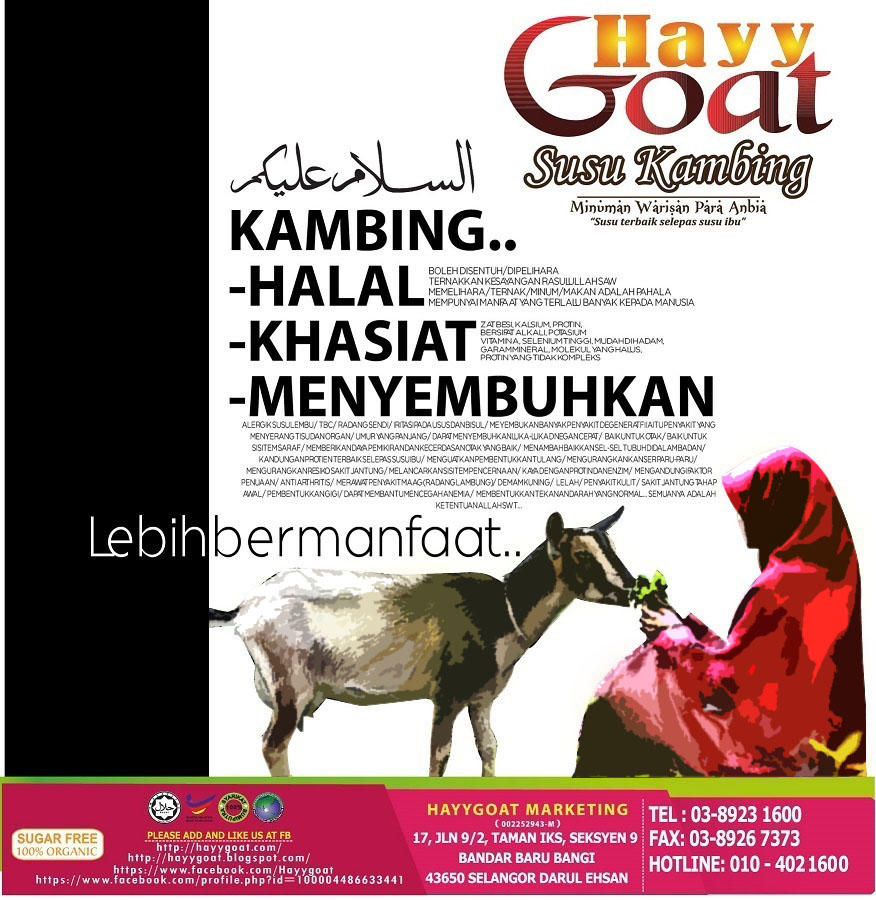 hayygoat-6